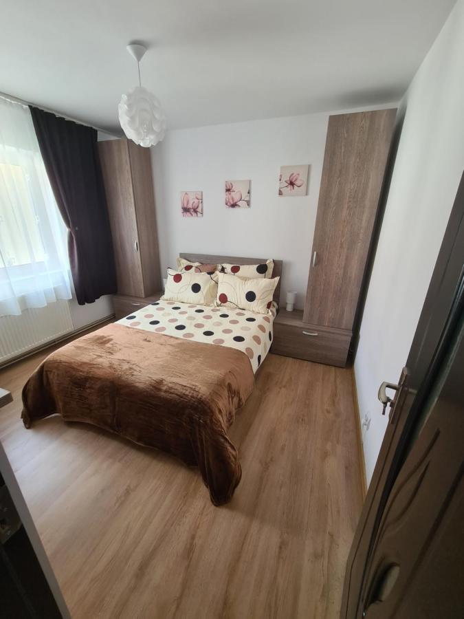 Iali Apartment Σινάια Εξωτερικό φωτογραφία