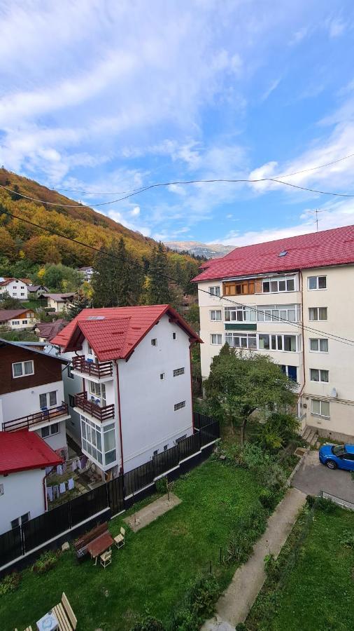 Iali Apartment Σινάια Εξωτερικό φωτογραφία